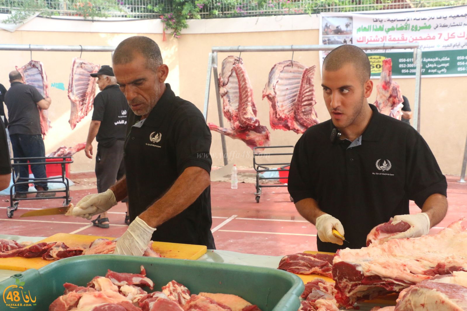 lo7om jam3iya u3 (13).jpg